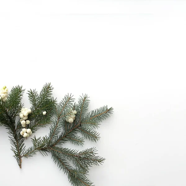 Karácsonyi kompozíció. Fenyőág fehér bogyókkal a négyzeten — Stock Fotó