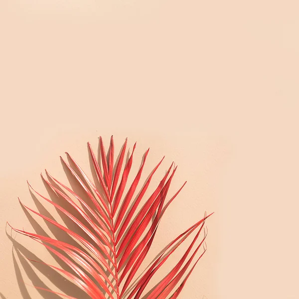 Painted palm leaf on a light background.