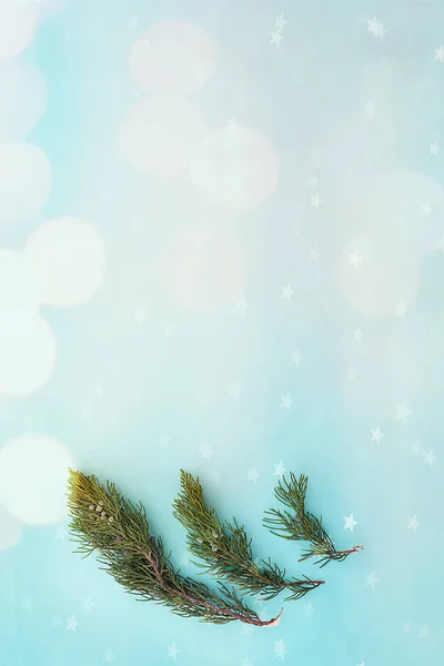 Composição de Natal. Sul thuja ramos em uma vertical leve — Fotografia de Stock