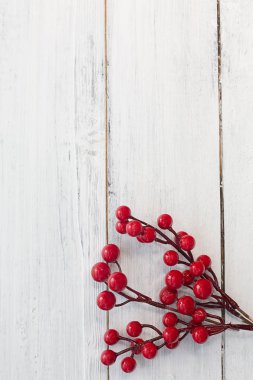 Noel kompozisyonu. Beyaz ahşap bir ördekte kırmızı kış meyveleri