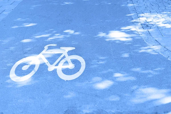 Bicycle path on a city street in blue.