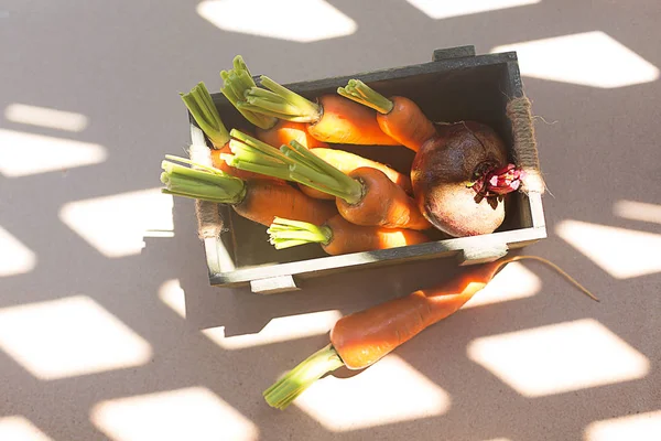 Freshly picked farm vegetables in a crate in the rays of the bri ...