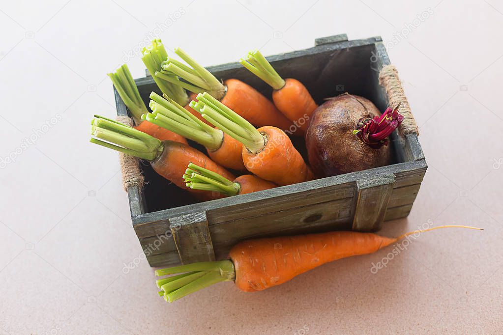 Freshly picked farm vegetables in a crate