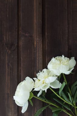 Çiçek kompozisyonu. Dikey ahşap bir sırtüstü beyaz şakayıklar