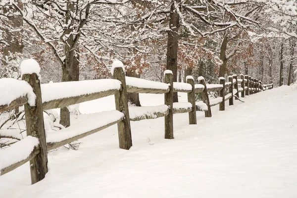 Besneeuwde hek en bomen Stockfoto