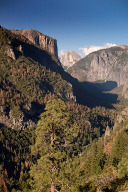 Yarım kubbe ve El Capitan