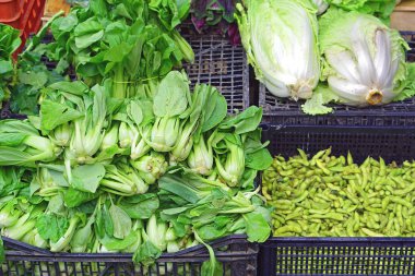 Pak choi Çin sebze
