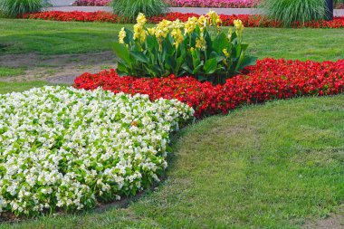 Ekili Bahçe çiçek