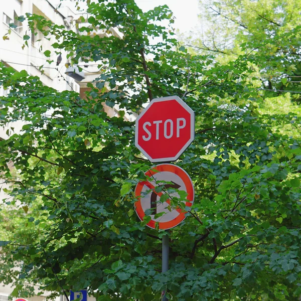 Overwoekerd stopbord — Stockfoto