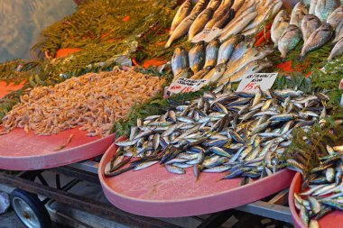 Balık pazarı durak