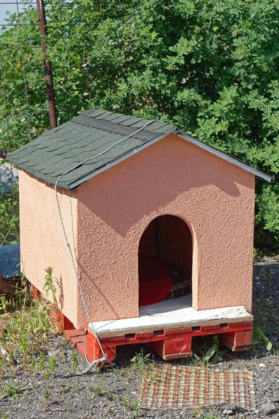 Rumah anjing baru — Stok Foto