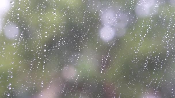 Deštivý Den Koryta Okno Abstraktní Počasí — Stock video