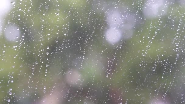 Rainy Day Trough Window Abstract Weather — Stock Video