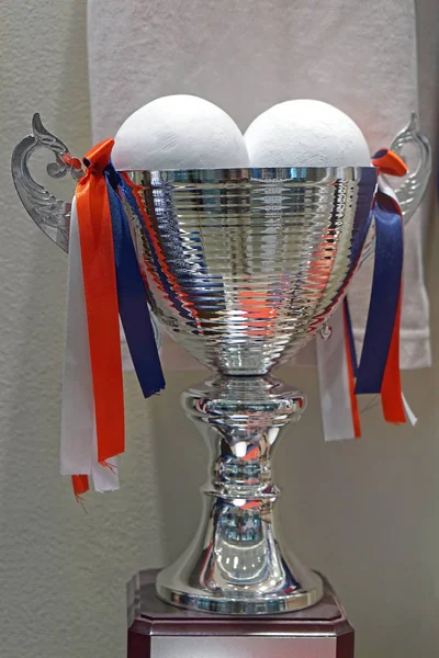 Silver trophy medal