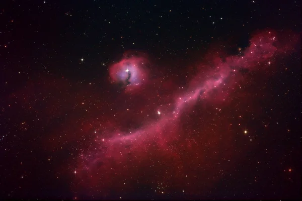 La Nebulosa Gabbiano — Foto Stock