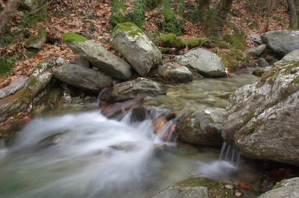 Een Prachtig Bos Stream Trapsgewijze Mossy Rotsen — Stockfoto