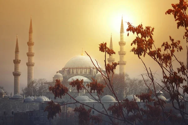 Sol Pone Junto Impresionante Mezquita Suleymaniye Uno Los Logros Arquitectónicos —  Fotos de Stock
