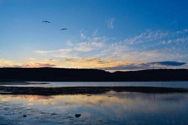 Matahari Terbenam Laut Dangkal Langit Dan Burung Burung Camar — Stok Foto