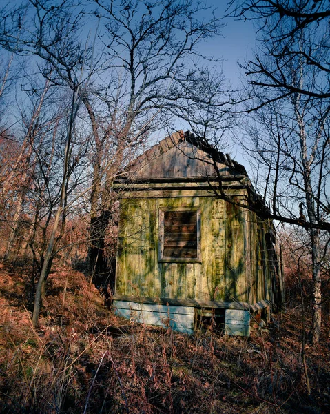Oude Verlaten Huis Het Bos Geschilderd Met Groene Verf — Stockfoto