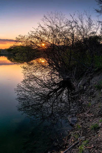 Дерево Озера Закате — стоковое фото