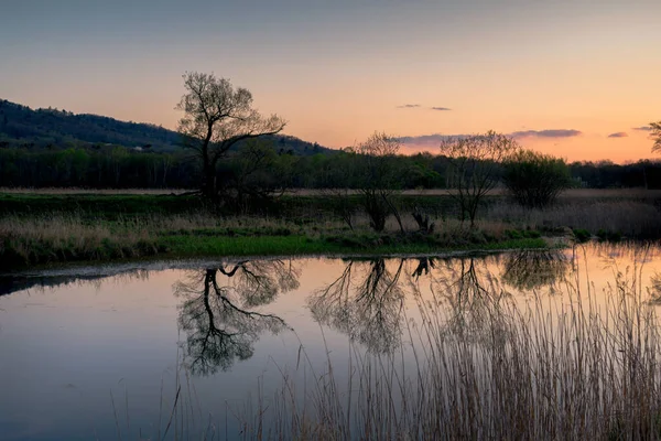 Západ Slunce Nad Jezerem Mladou Zelenou Trávou Březích Odrážejícími Stromy — Stock fotografie