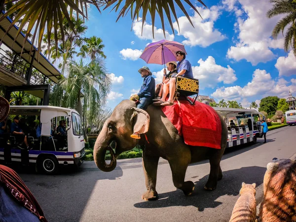 Pattaya, Tayland - 31 Aralık 2019: İnsanlar veya gezginler Suan Nongnooch Pattaya Bahçe arazisinde fillere biniyorlar.