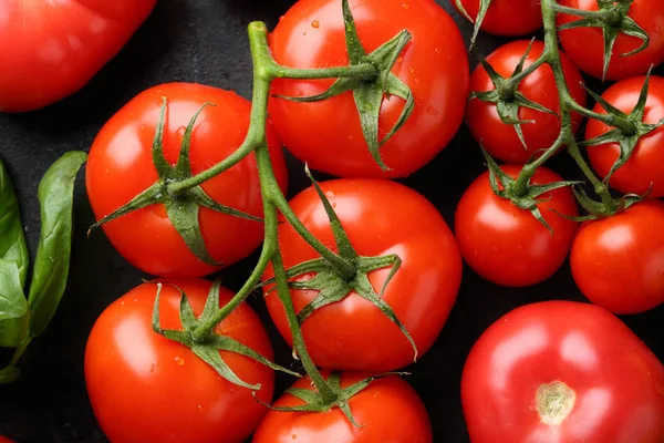 Gren av röda tomater på svart — Stockfoto