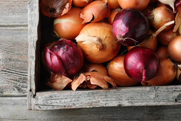 Onions roots in old crate — Stock Photo, Image