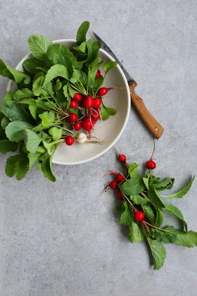 Stillleben mit Rettich — Stockfoto