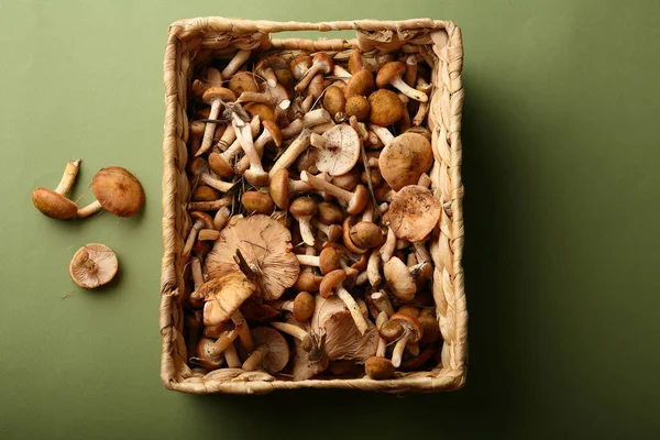 Mushrooms in basket — Stock Photo, Image
