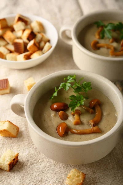 Warme crème-soep met champignons — Stockfoto