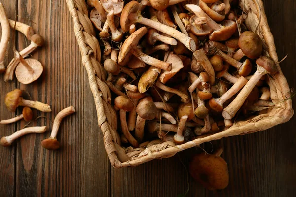Mushrooms harvest on wood — Stock Photo, Image