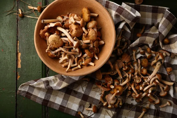 Forest Mushrooms harvest above — Stock Photo, Image