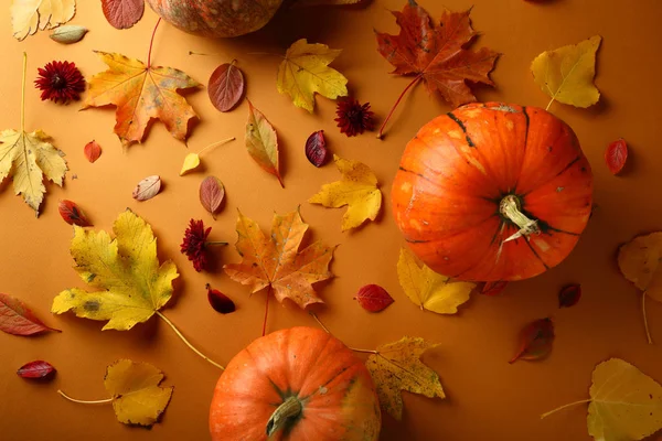 Feuilles d'automne et fond de citrouilles — Photo