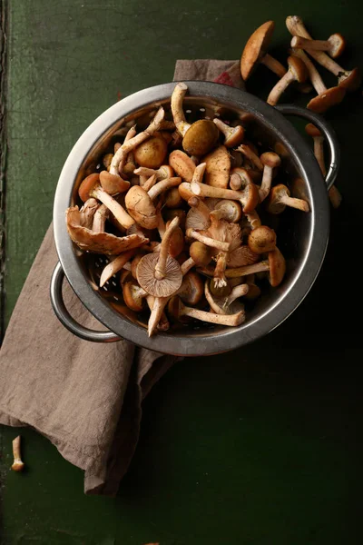 Forest Honey agaric Mushrooms in colander — Stock Image Forest Honey agaric Mushrooms in colander Royalty Free Stock Images