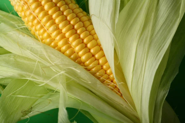 Één corn cob close-up op groene achtergrond — Stockfoto