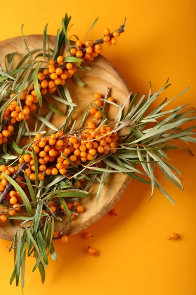 Taze deniz topalak dallar sarı