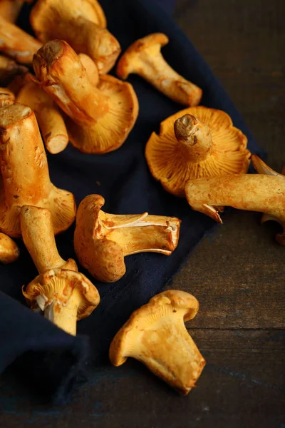 Fresh chantelles mushrooms on dark background — Stock Photo, Image