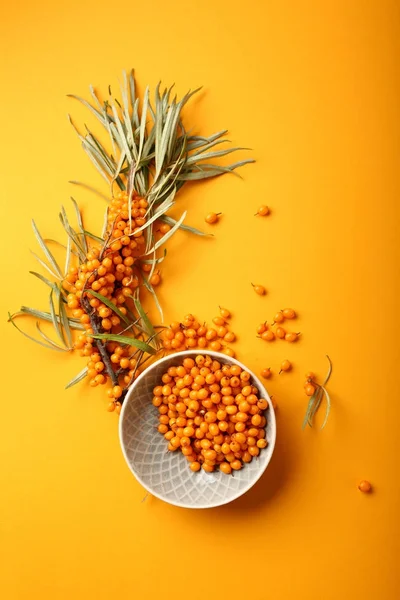 Yellow sea buckthorn achtergrond — Stockfoto