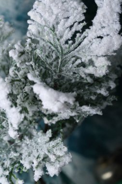 Christmas dalları ile kar