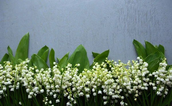 Bos bloemen achtergrond — Stockfoto