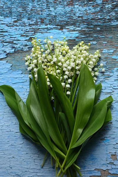 Våren White Forest blommor — Stockfoto