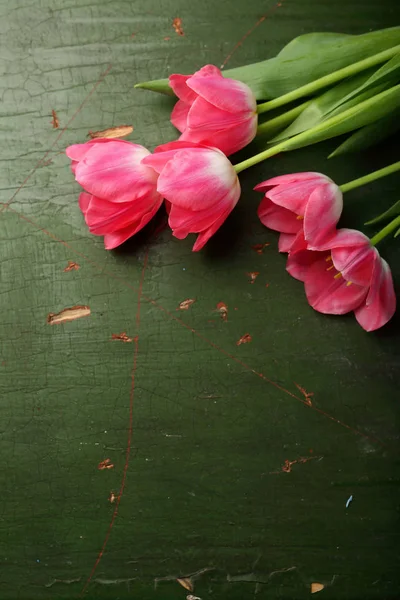Różowe kwiaty na zielonym tle drewna — Zdjęcie stockowe