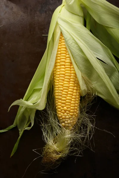 Mazorca de maíz fresco crudo sobre fondo metálico — Foto de Stock