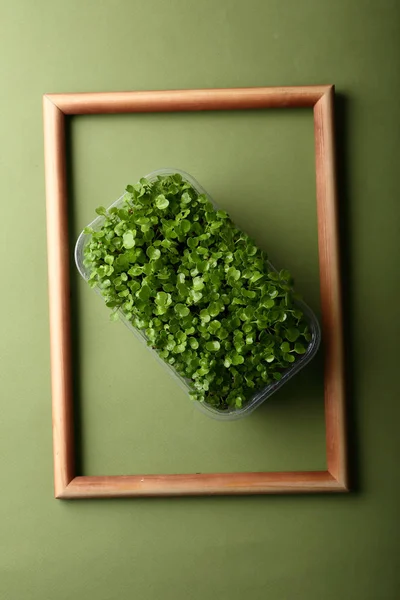 Mikro-Grüns auf grünem Hintergrund — Stockfoto