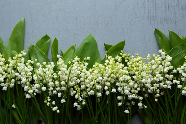 Bouquet mughetto bianco su legno — Foto Stock