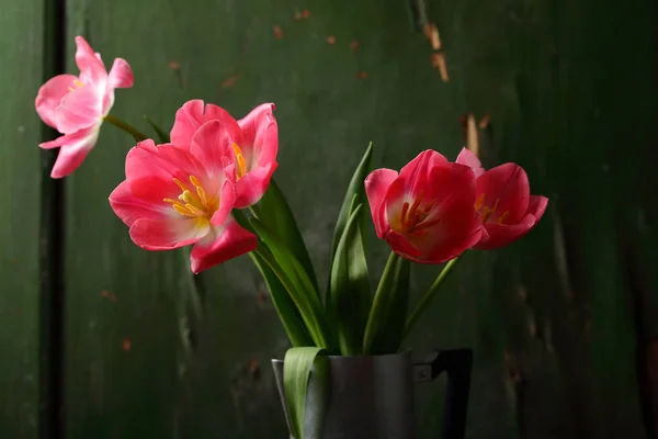 在金属花瓶 鲜花的新鲜郁金香 — 图库照片