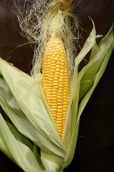 Mazorca de maíz fresco amarillo arriba — Foto de Stock