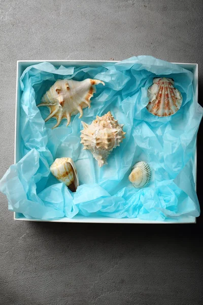 Seashells in box — Stock Photo, Image