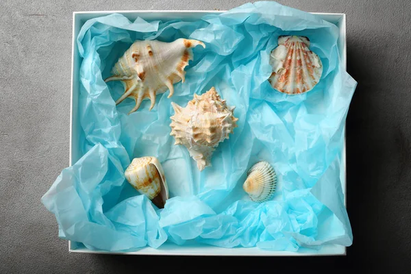 Set of seashells in box — Stock Photo, Image